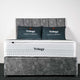 Trilogy Medium Mattress